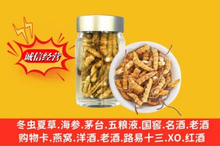 厦门湖里区求购回收散虫草