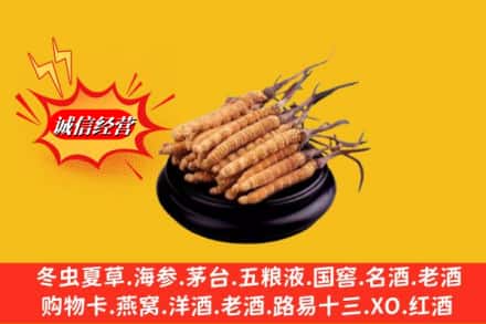 厦门湖里区求购回收虫草多少钱每克